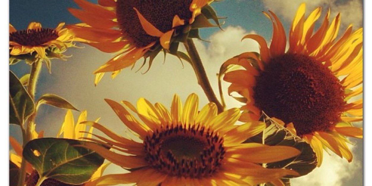 m_feverston's profile banner image