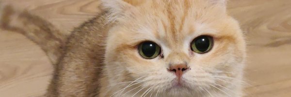 GiusTV Profile Banner