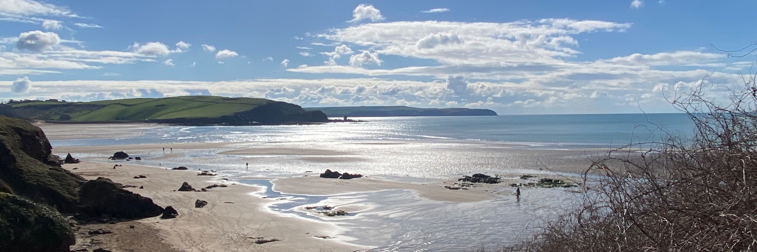 Richard Torné banner