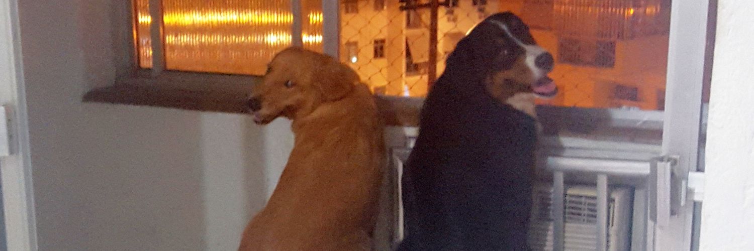 DraLiz's profile banner image