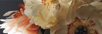 💋 banner