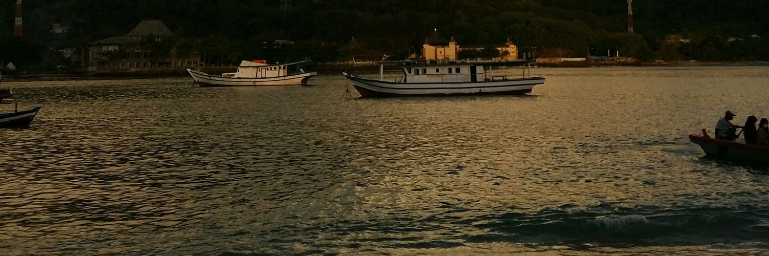 olivevimo's profile banner image