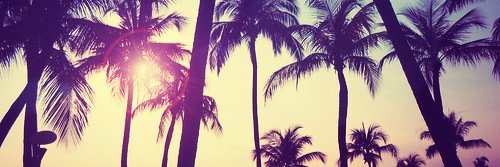 WeRTumblrGirls's profile banner image