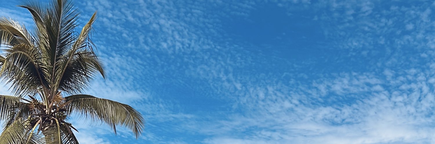Carlloscra's profile banner image