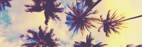 camidm991's profile banner image