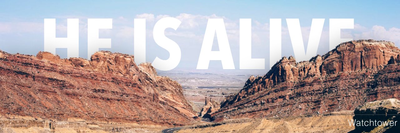 pinopale69's profile banner image