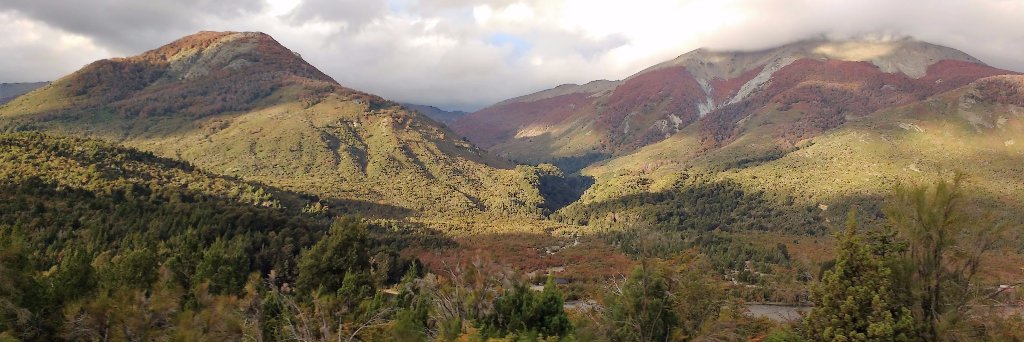 Mónica Silva banner