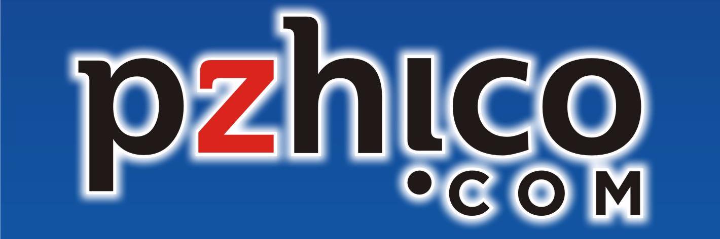 PZHICOcom's profile banner image