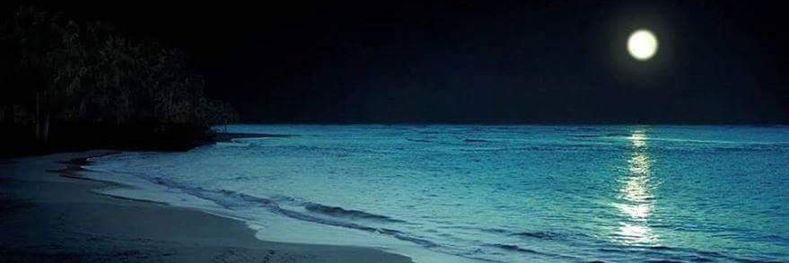 RobynShortie's profile banner image
