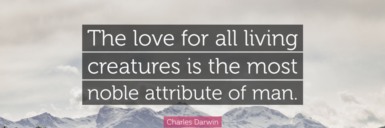 Derek🌲🌲 banner