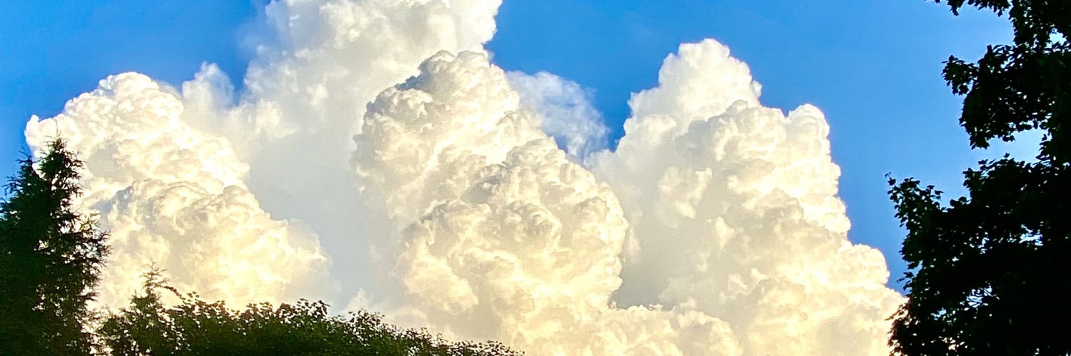 Jess_is_the_bae's profile banner image
