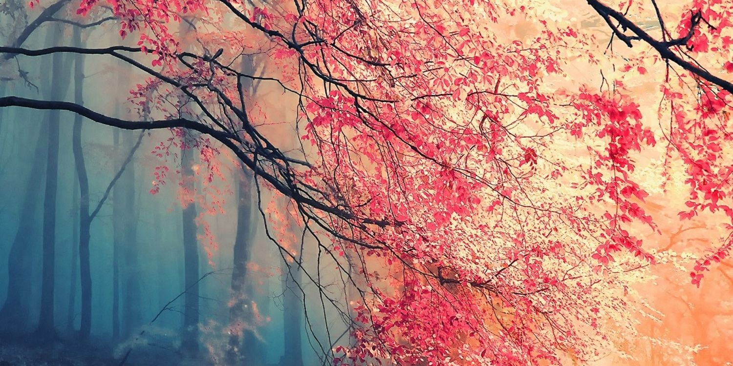 ada_prince's profile banner image