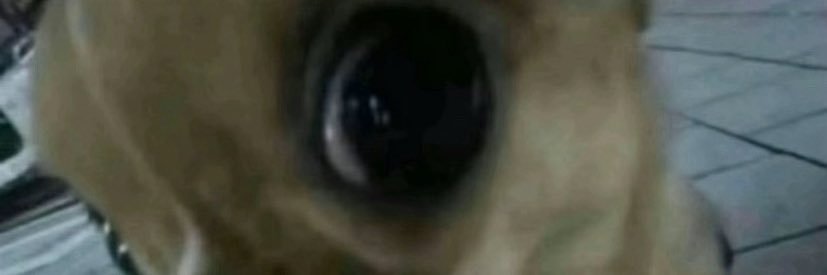ambrenee_'s profile banner image