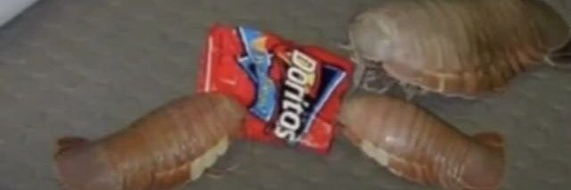 Griffgriff403's profile banner image