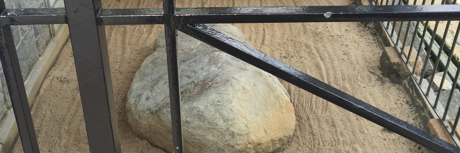raynidays's profile banner image