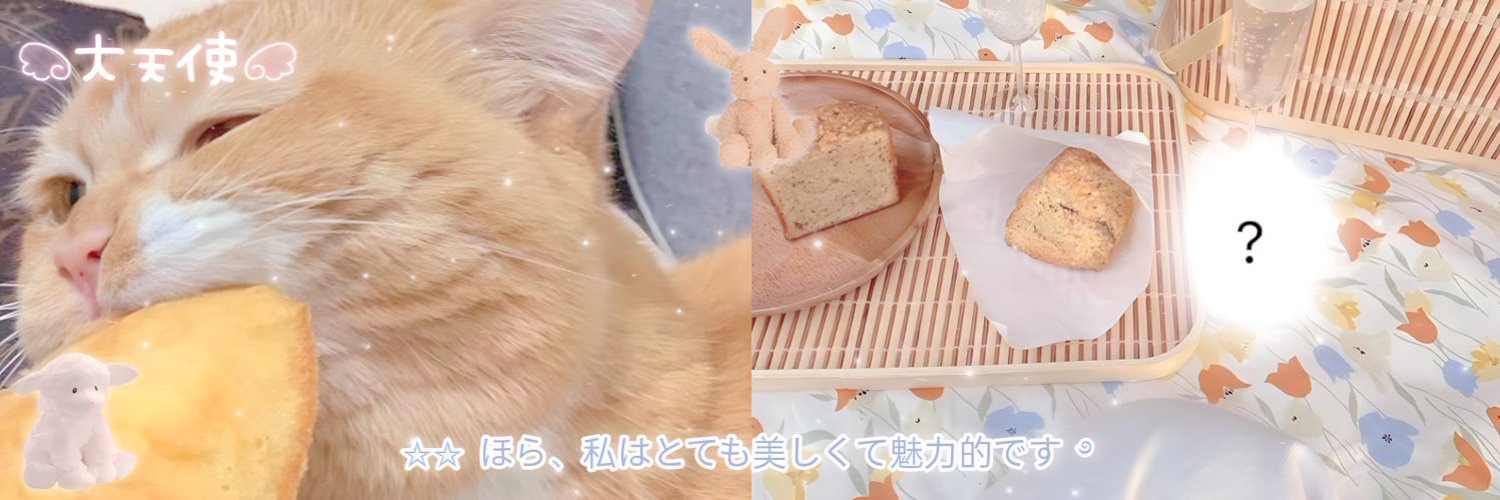 _ceuk's profile banner image