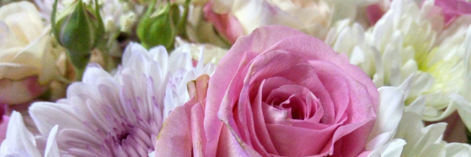 mjmalim's profile banner image