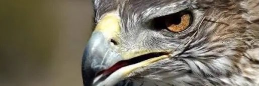Khalid_191_'s profile banner image