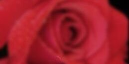 Semi_0071's profile banner image