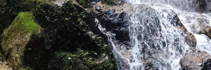 franceseee's profile banner image