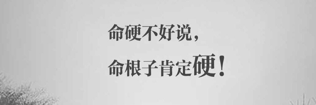 wtz677i's profile banner image