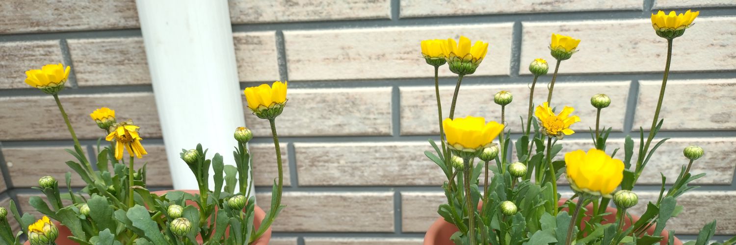 s0201_'s profile banner image
