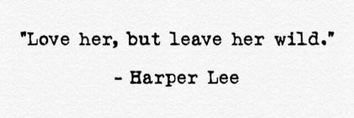 Erica Schneider banner