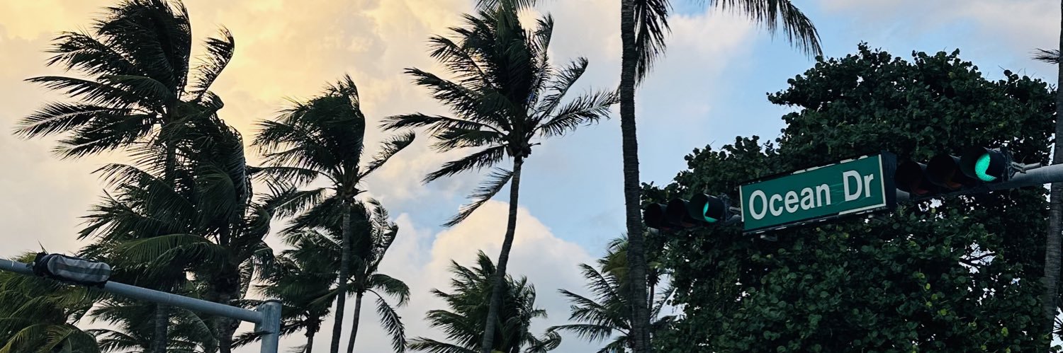 delfina banner