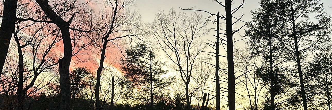 zitro_13's profile banner image