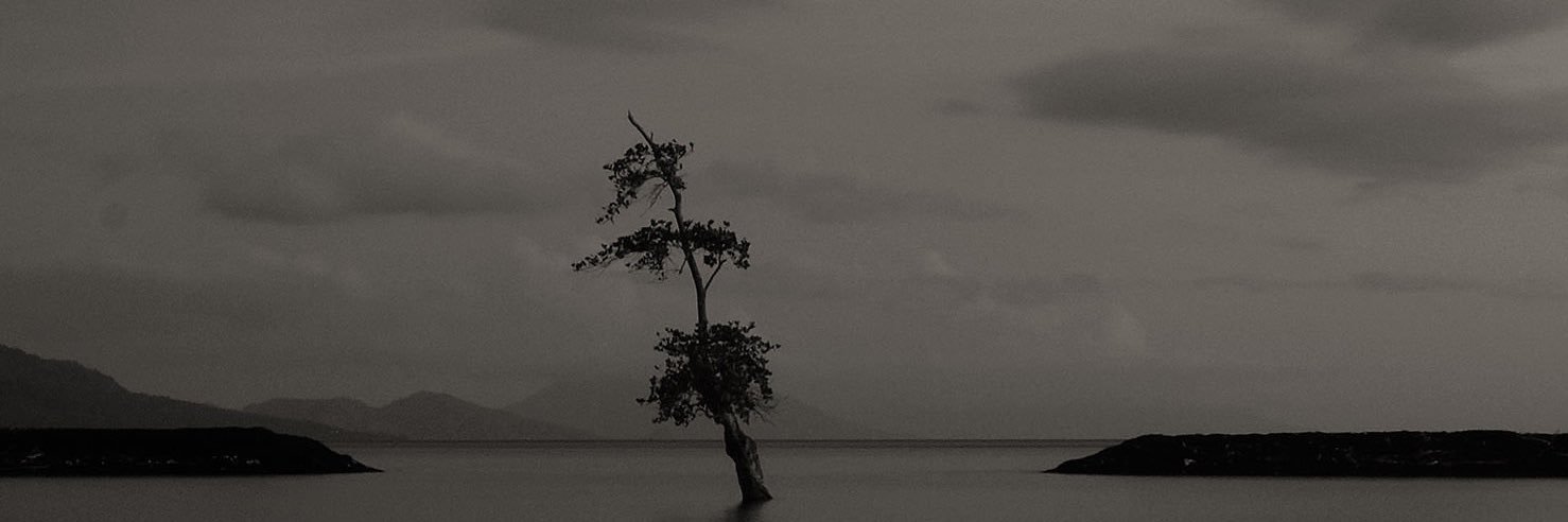 THB0726's profile banner image