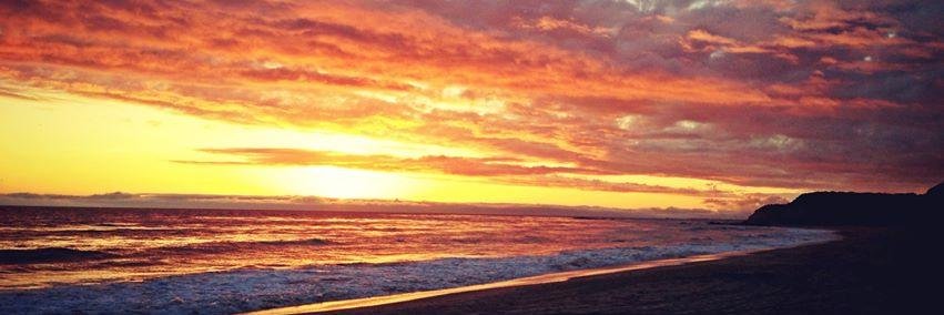 grskav's profile banner image