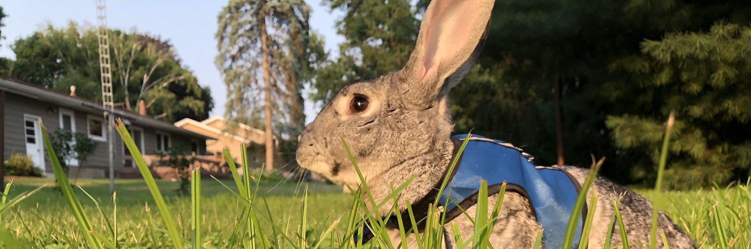 Julezbugs's profile banner image