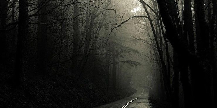 panic_AN's profile banner image