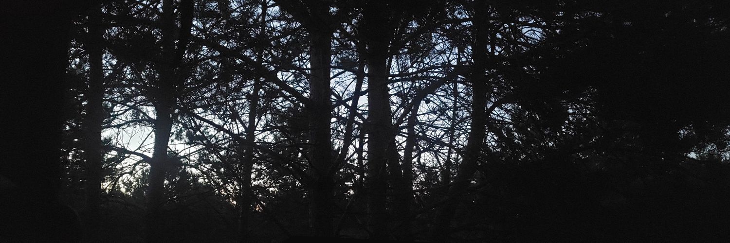 Augumai's profile banner image