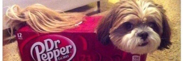 Gemma banner