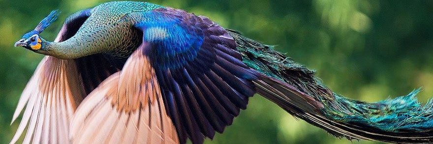 PritamB13's profile banner image
