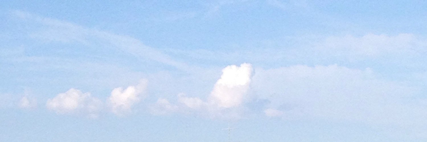 Sarah Stephens banner