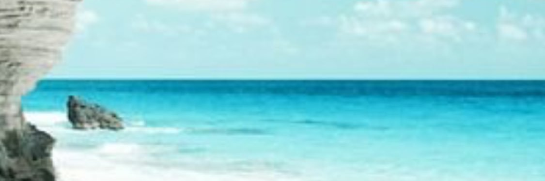 Holly banner