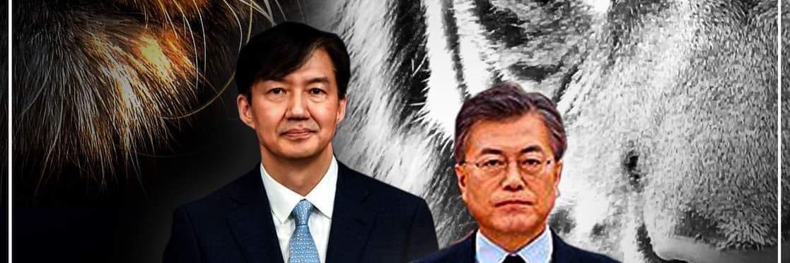 chdndmn's profile banner image