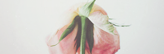 ser1ne's profile banner image