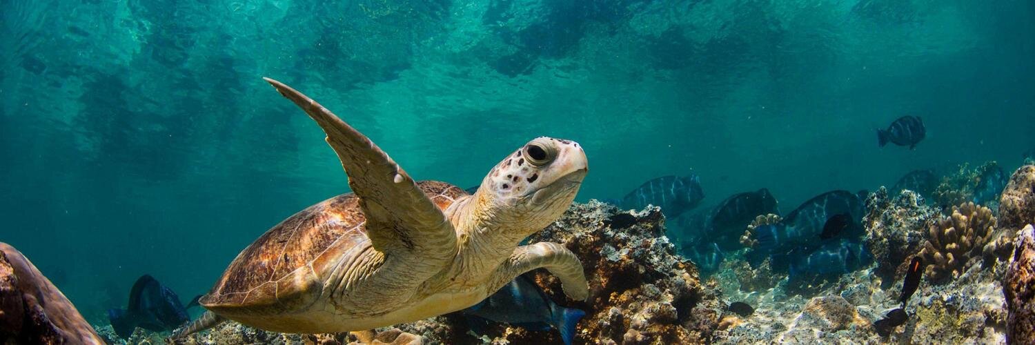 EastCoastDivers's profile banner image