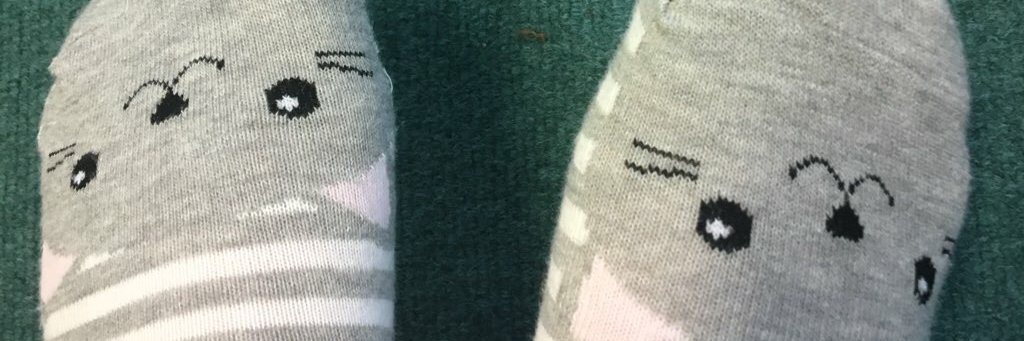 Amelia McLoughlan banner