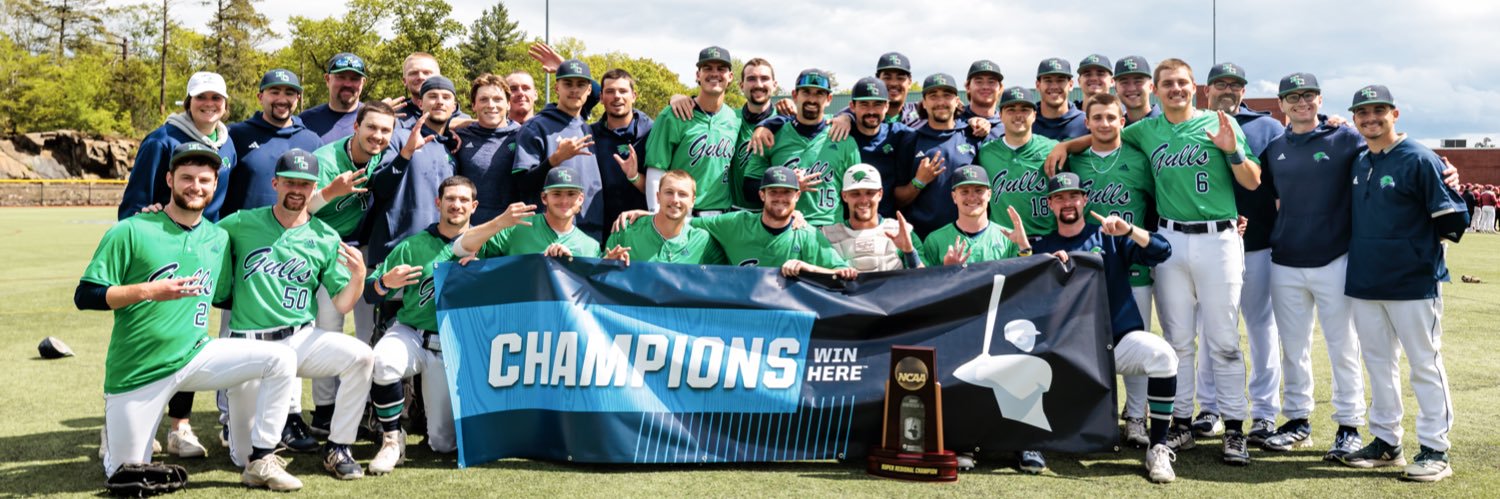 Endicott Baseball banner