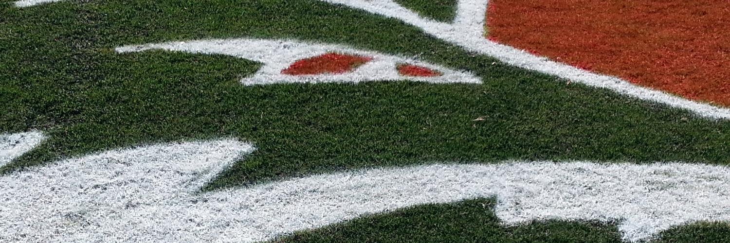 Walkertown Athletics banner