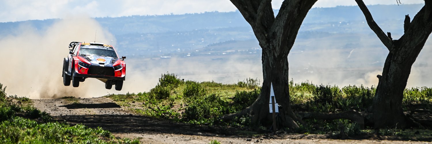 Ott Tänak's banner