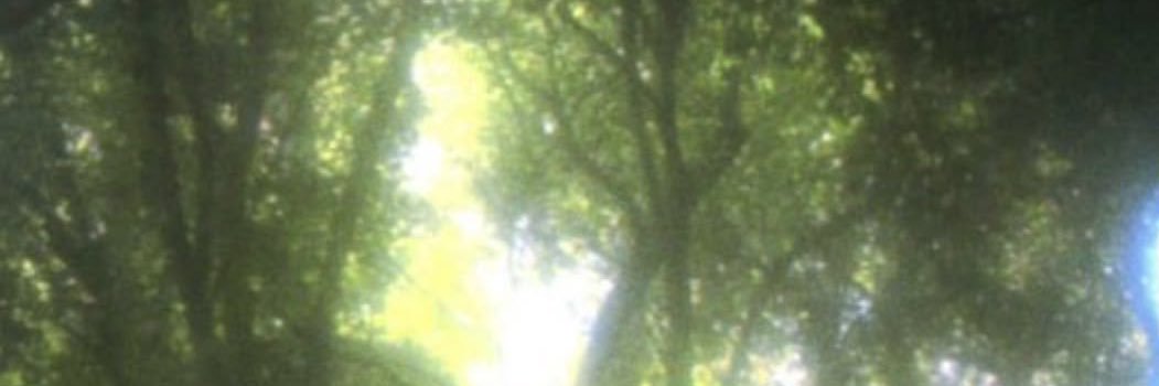 tttt0916's profile banner image