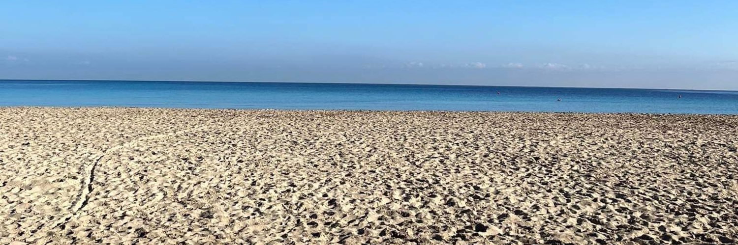 樋口敬洋🐟シチリア banner