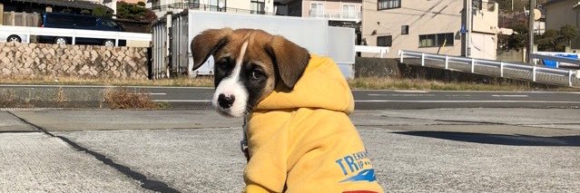 リスペリ丼 banner