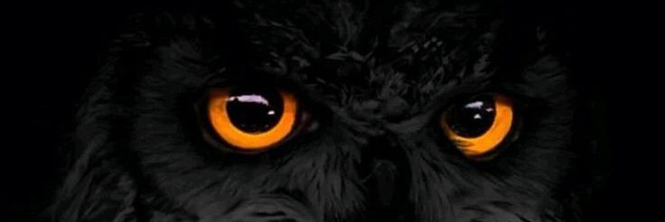 TrappyGotit's profile banner image