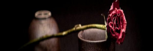 Alchemist900 Profile Banner
